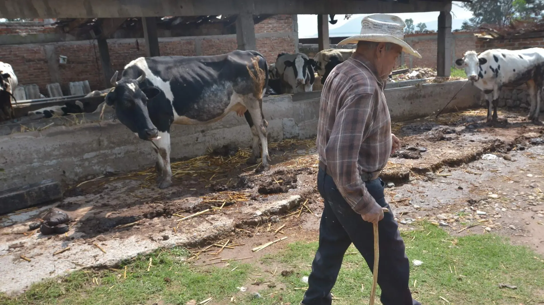 La gente del campo